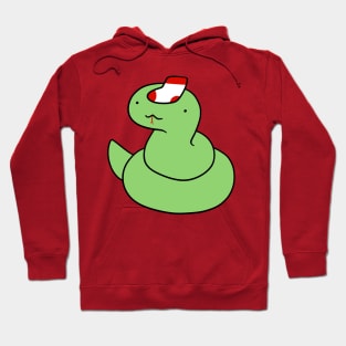 Sock Snake Hoodie